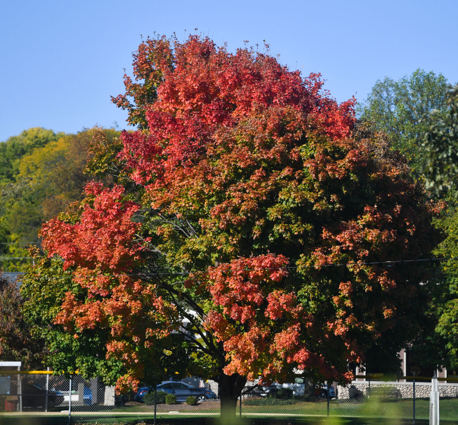 100820-qc-nws-fallcolor-005